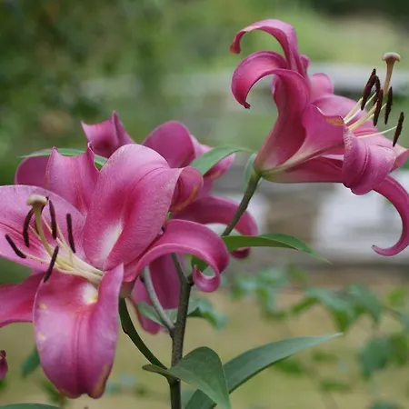 펜션 Domaine De Payan