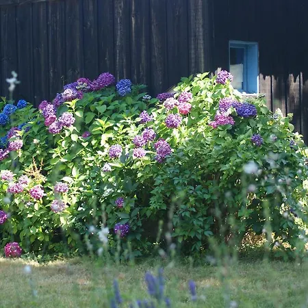 Vakantiehuis Domaine De Payan Luglon