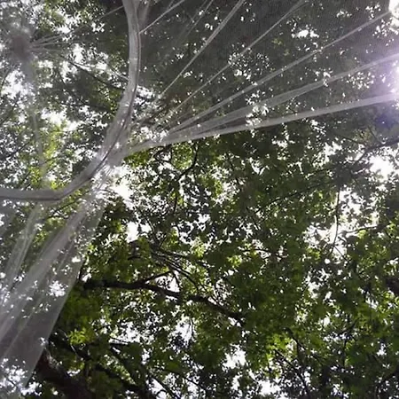 Domaine De Payan Vakantiehuis Luglon