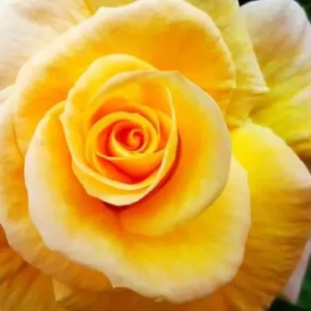 Domaine De Payan Vakantiehuis